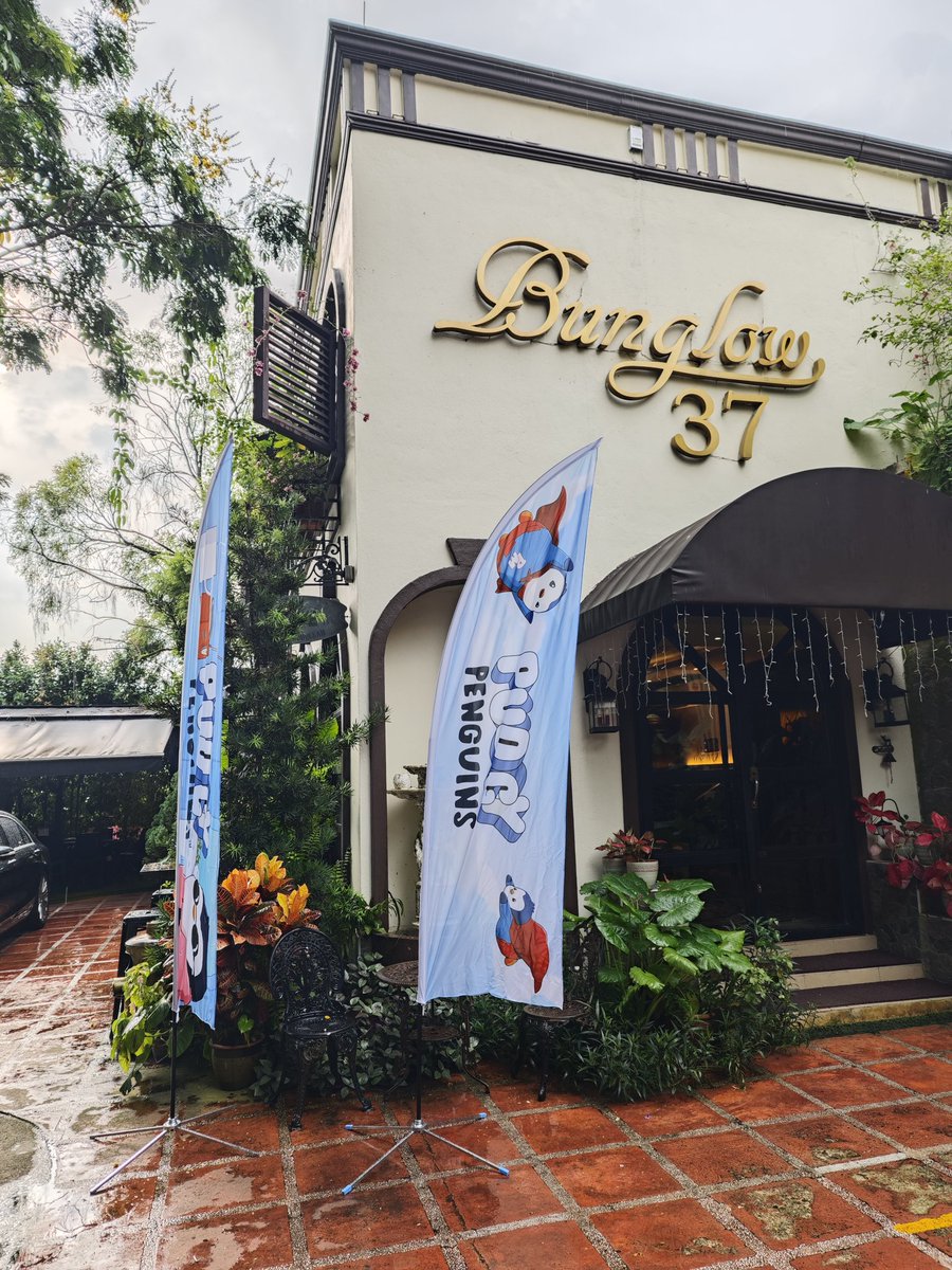 Natx Wang 🇸🇬🍟 tweet media