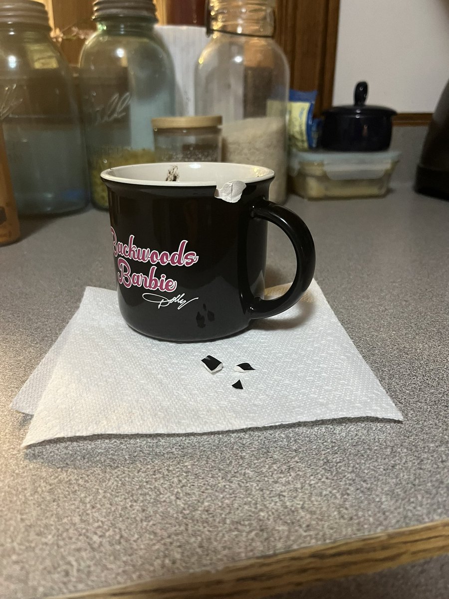 This mug I got at Dollywood just broke from me tapping a fork on the rim to knock some batter off. I haven’t even used it 5 times… Dollywood must pay for their crimes