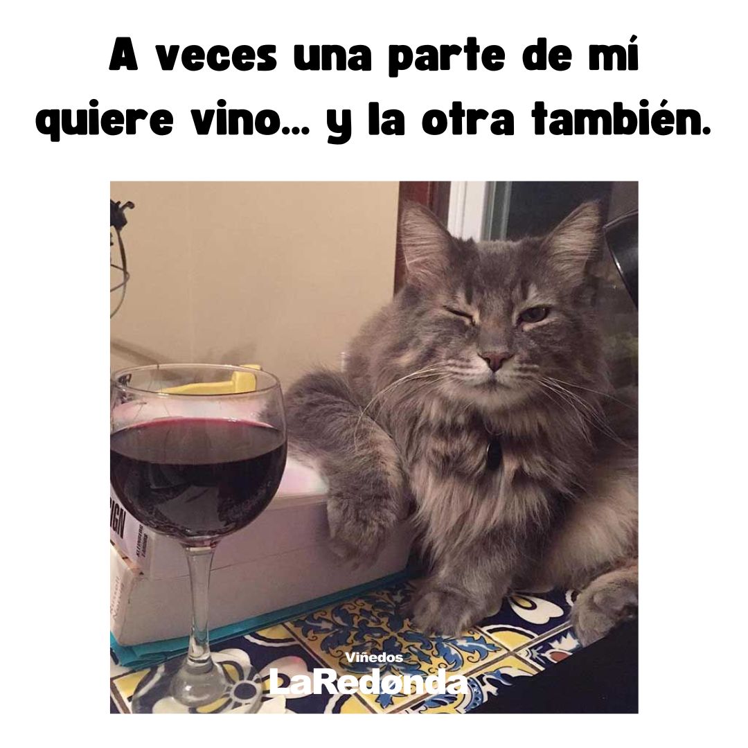 Hoy es un día de esos. 🙊🍷