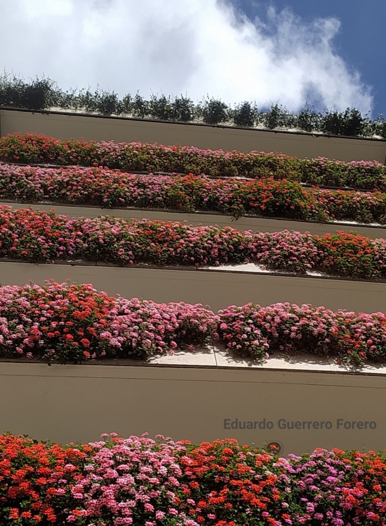 #PazconlaNaturalezaEs un jardín vertical entre el suelo y el cielo que le da vida al duro cemento urbano #CiudadesVerdes #CiudadBiodiversayResiliente #InfraestructuraVerde