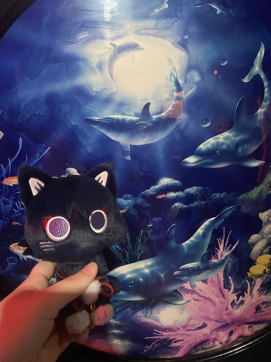 i brought scarameow to an aquarium with me :D