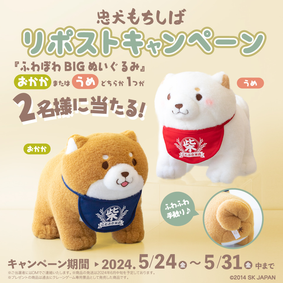 c_mochishiba's tweet photo. 【#忠犬もちしば リポストキャンペーン🐾】

ふわふわ生地が可愛い
“ふわぽわBIGぬいぐるみ(H 約25cm)”の
いずれか1匹が合計2名様に当たるチャンス✨  

＜応募方法＞
①忠犬もちしば (@c_mochishiba)をフォロー 
②こちらのポストをリポスト(5/31まで)
※ご当選はDMでお知らせいたします。

#柴犬 https://t.co/W5DYxU5nYQ