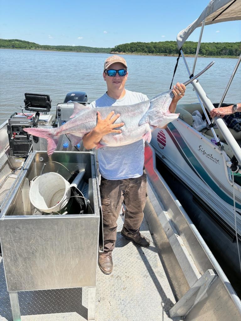 Nicktalurus's tweet photo. We stocked 6000 paddlefish into my 12,000 acre reservoir since 2019 and this is the first one I've gotten my hands on. An angler had accidentally snagged it and called to ask if he could keep it. I was close so I had to see it. It had been too long since I had held one. https://t.co/G2NkqLhtPx