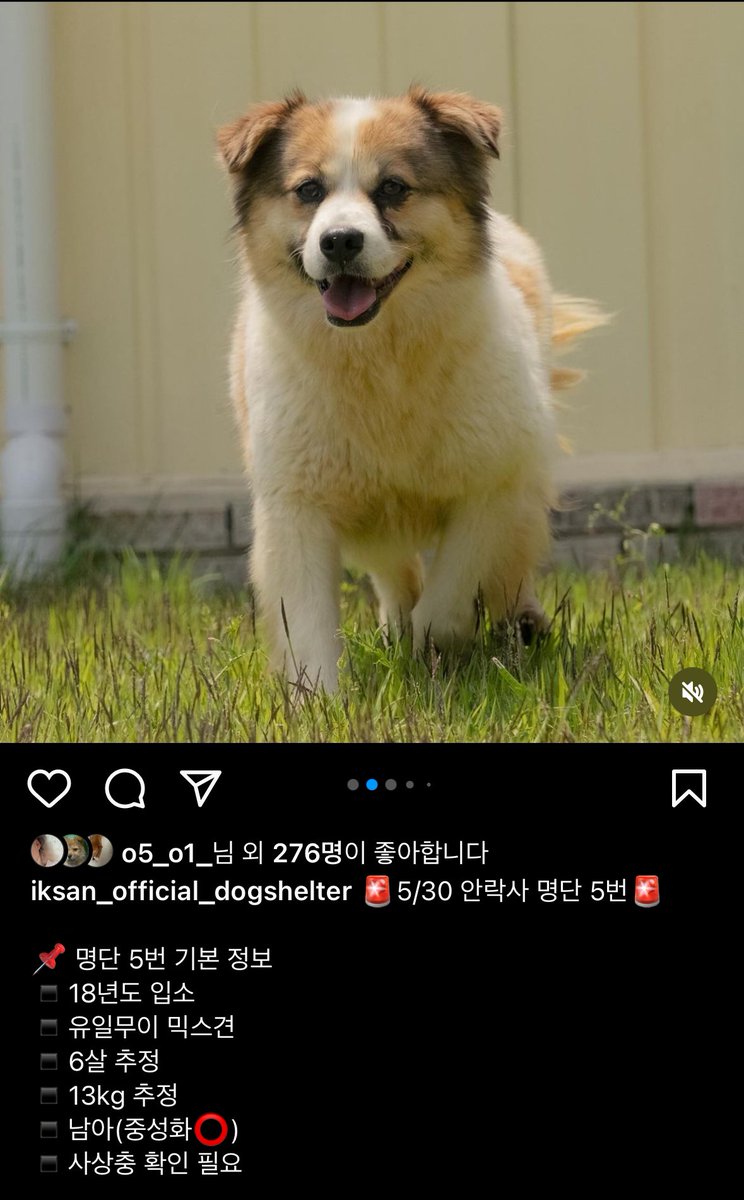 제시카 심순, 그리고 이모들. tweet media
