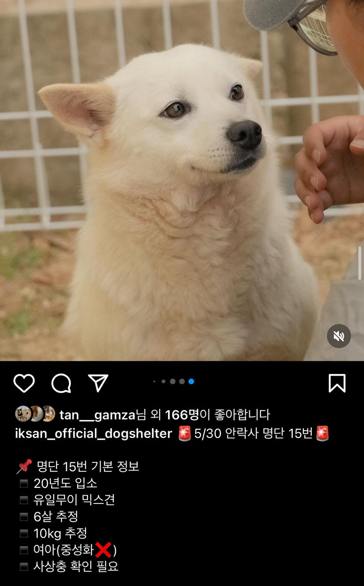 제시카 심순, 그리고 이모들. tweet media