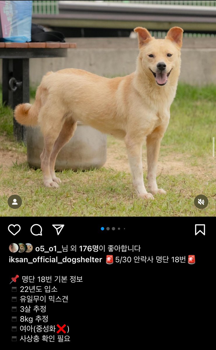 제시카 심순, 그리고 이모들. tweet media