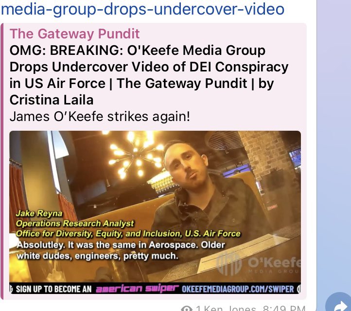 DEI: let the least educated fly the airplane Is this why it’s dangerous to fly? Reyna told the OMG undercover reporter that white men are “definitely stupid” and “definitely suck.” OMG: BREAKING: O’Keefe Media Group Drops Undercover Video of DEI Conspiracy in US Air Force