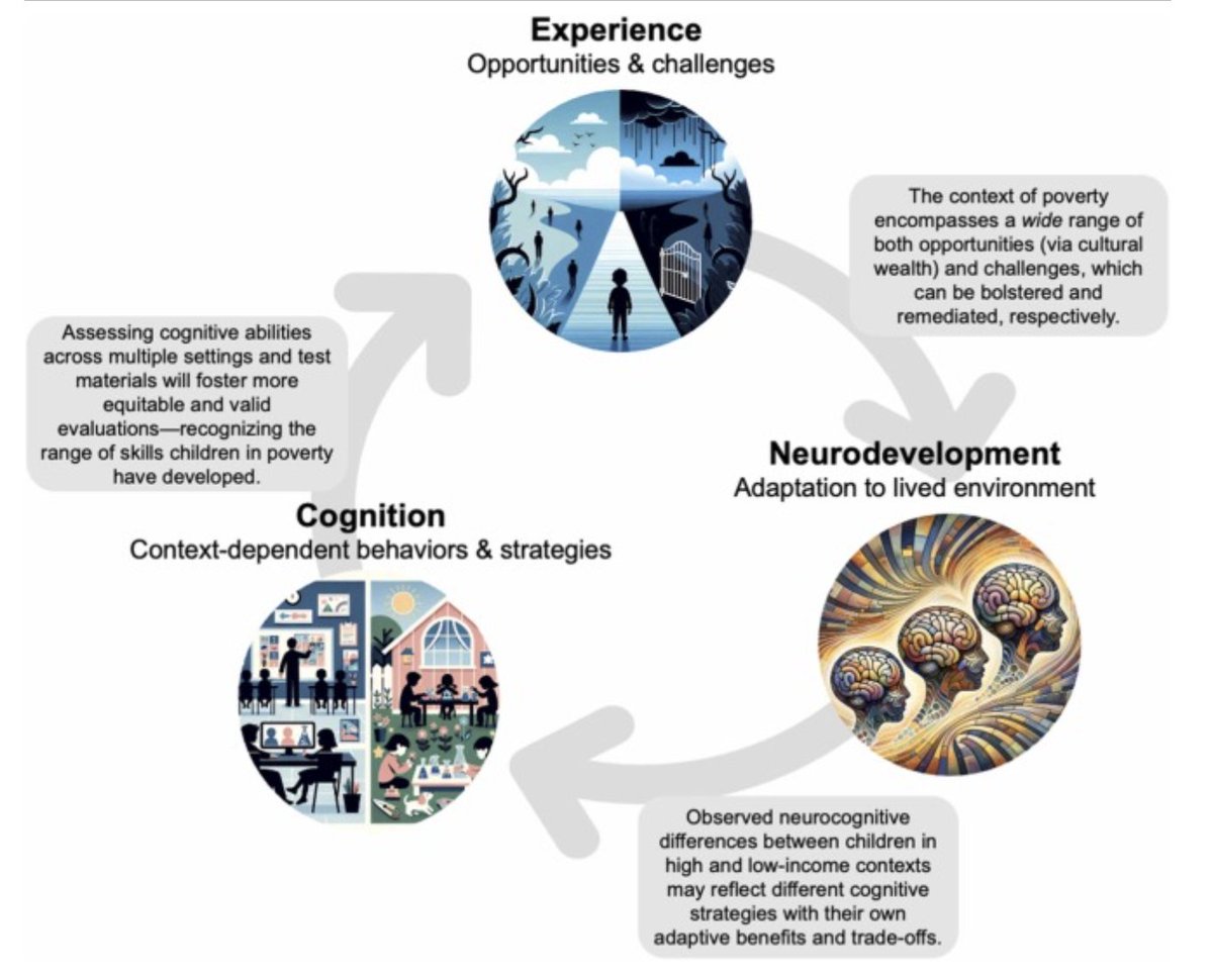 The promise and pitfalls of a strength-based approach to child poverty and neurocognitive development: Implications for policy - ScienceDirect sciencedirect.com/science/articl…