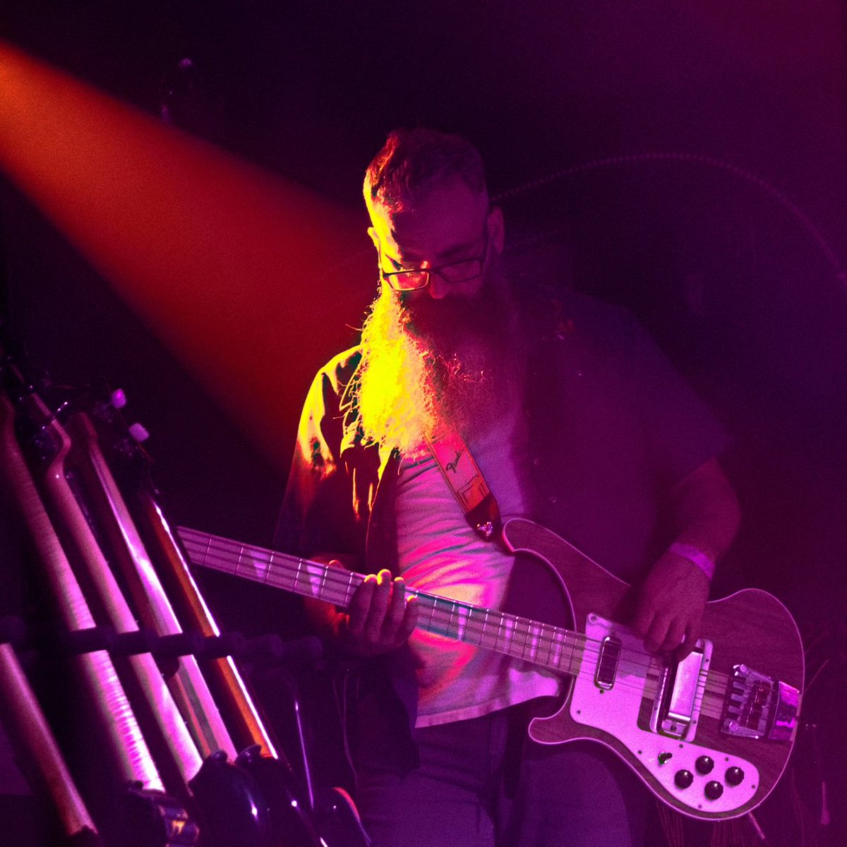 Moose on the Loose tweet media