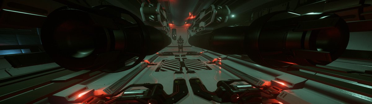 MadSoul87's tweet image. Why does this ship have to be so sexy!?!?
#RSI #Retaliator #StarCitizen #Invictus2954