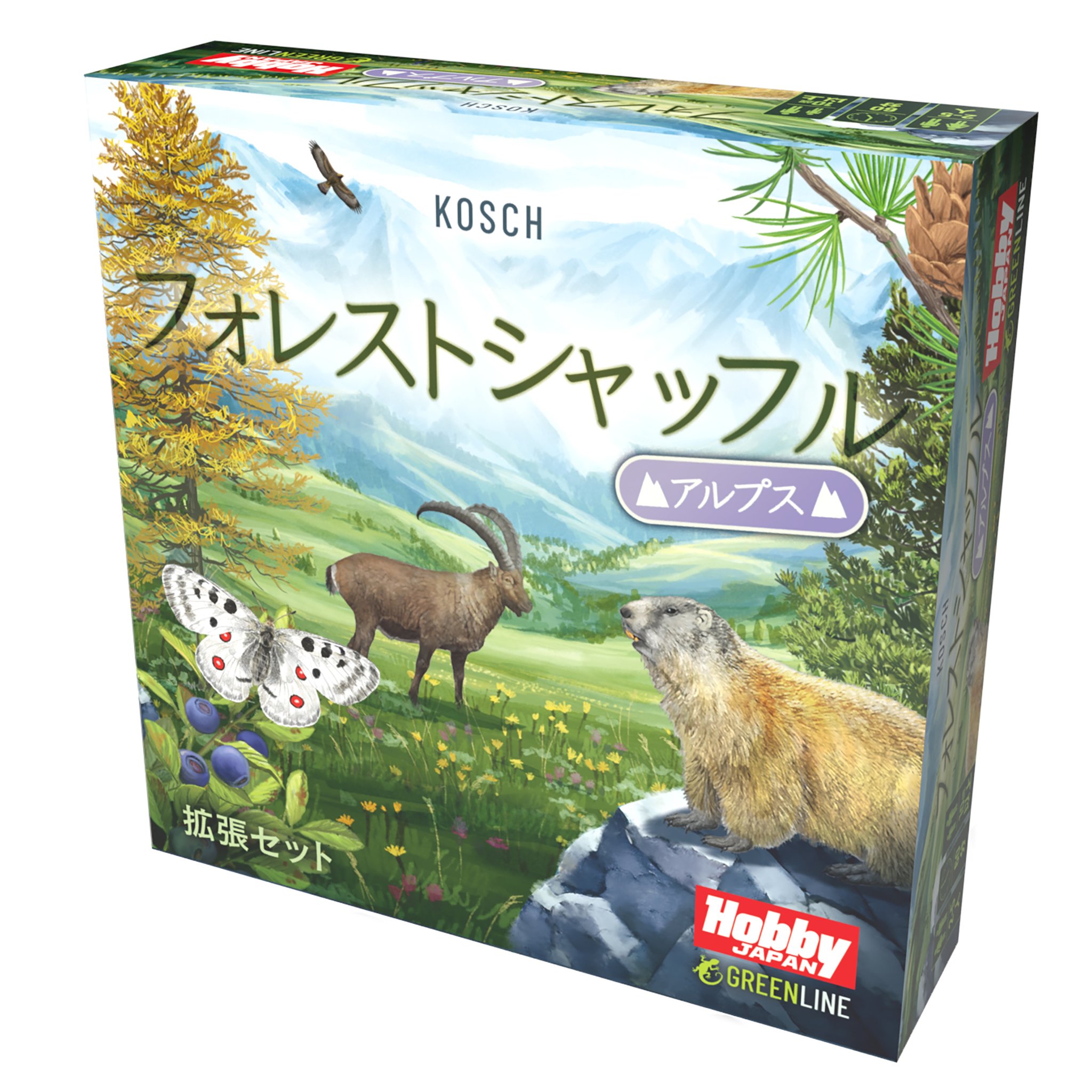 紙ジャケ2枚★フォレスト FOREST/フォレスト、フル・サークルHARVEST フォレストシャッフル：林縁 | ANALOG GAME INDEX