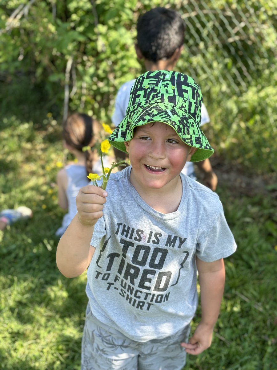 We found Buttercup flowers 🌺
