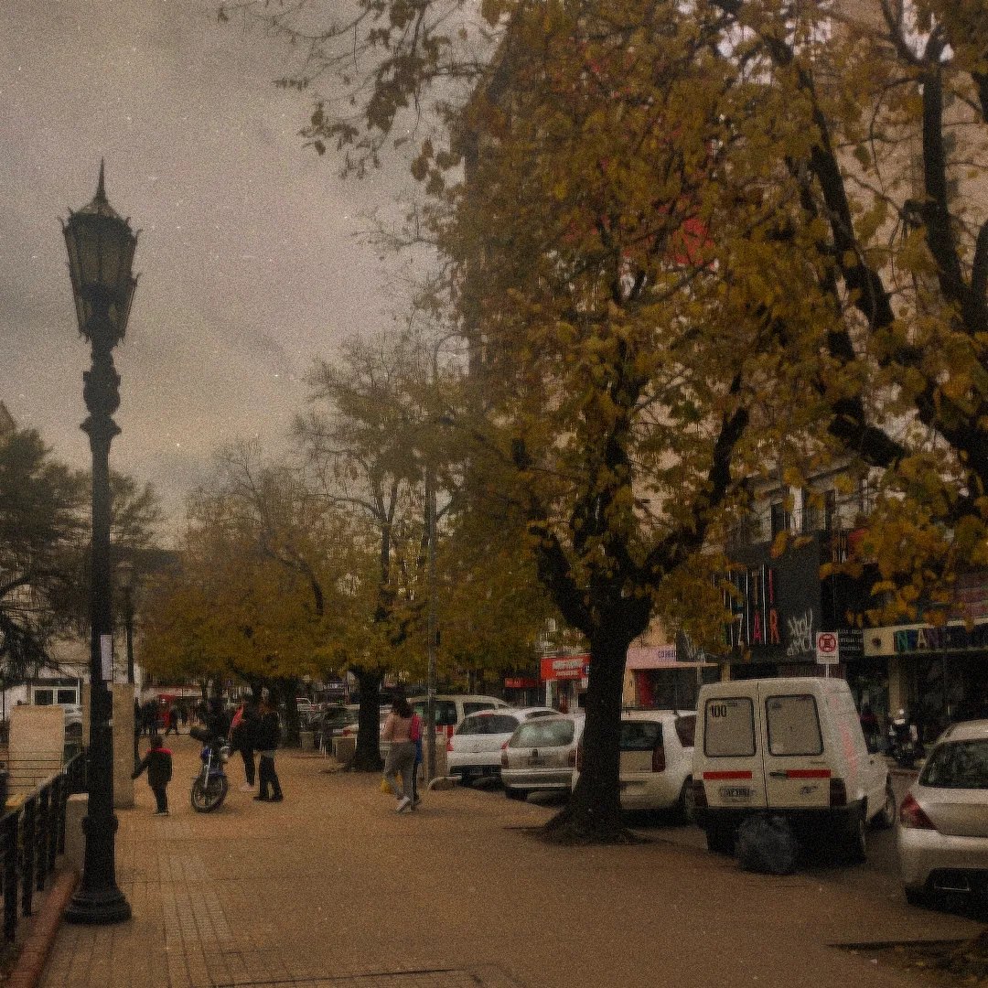 abalomicaela's tweet photo. 🍂🤎 https://t.co/yPMhEqnR6p