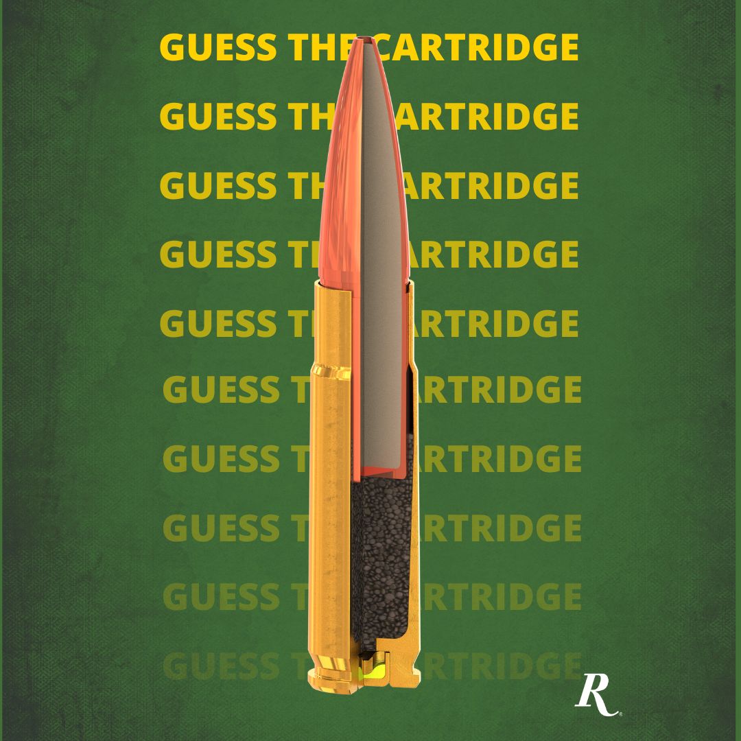 Guess the cartridge is back! Chime in if you know it.