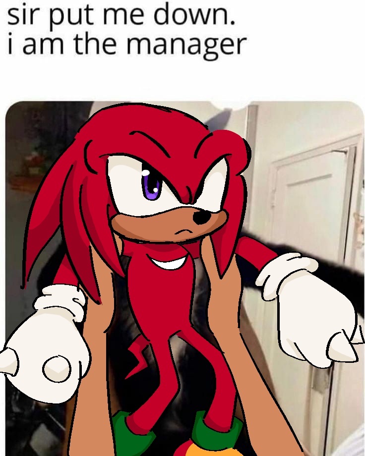 put the manager down
#SonicTheHedgehog #KnucklesTheEchidna