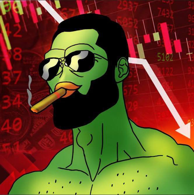 yogchill_'s tweet photo. @dj_budsol A little red doesn’t scare me. 

I HAVE A GIGA PEPE BRO
$gigapepe #gigapepe $pepe $selfi https://t.co/boZR1clOWe