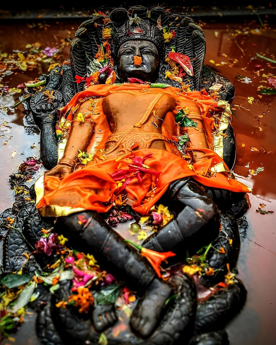 श्री हरि भगवान विष्णु दिव्य स्वरूप दर्शन - नेपाल ❣️