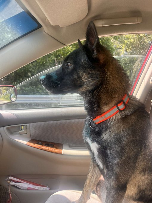 happy 2nd birthday to my best friend <3  sorry i missed your party 💔 https://t.co/ewI3gToEKc