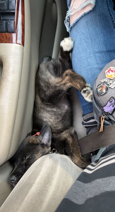 happy 2nd birthday to my best friend <3  sorry i missed your party 💔 https://t.co/ewI3gToEKc