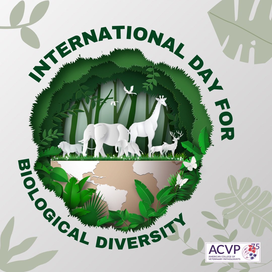 Happy #InternationalDayForBiologicalDiversity! Loss of biodiversity threatens all, including our health. Kudos to those in our #VetPath #OneHealth community who work as #PartOfThePlan to preserve species biodiversity.