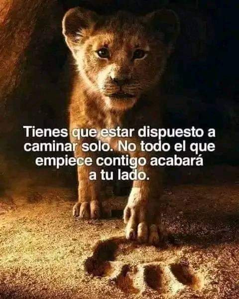 CarlosjRubio Way (@carlitoswayfire) on Twitter photo 