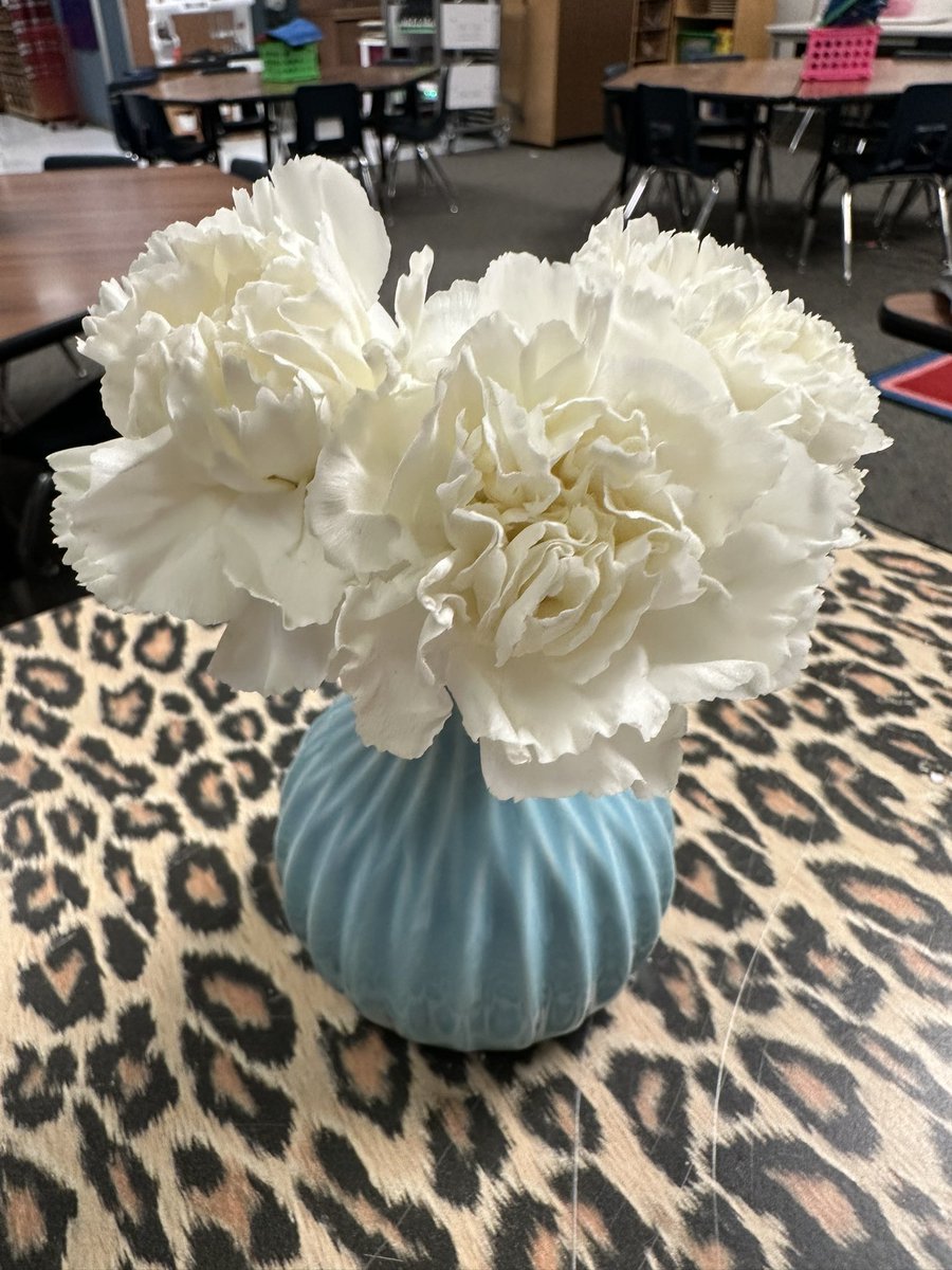 I was so touched by these gifts today. As 5th grade paraded to their Appreciation Celebration, each student had a carnation to give to someone that had impacted them while at @MetzlerKISD. It’s not a coincidence that the impact they’ve left on me is even greater. 🩷 #KISDPRSquad