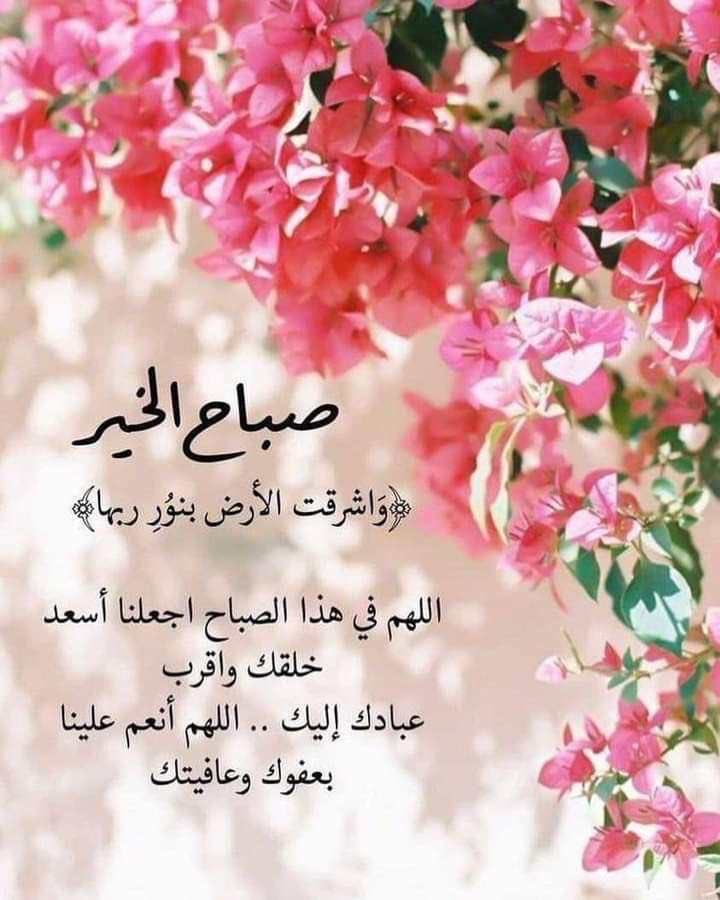 123moom456's tweet photo. أصبحنا وأصبح الملك لله🌼 https://t.co/GAH2NV9ccS