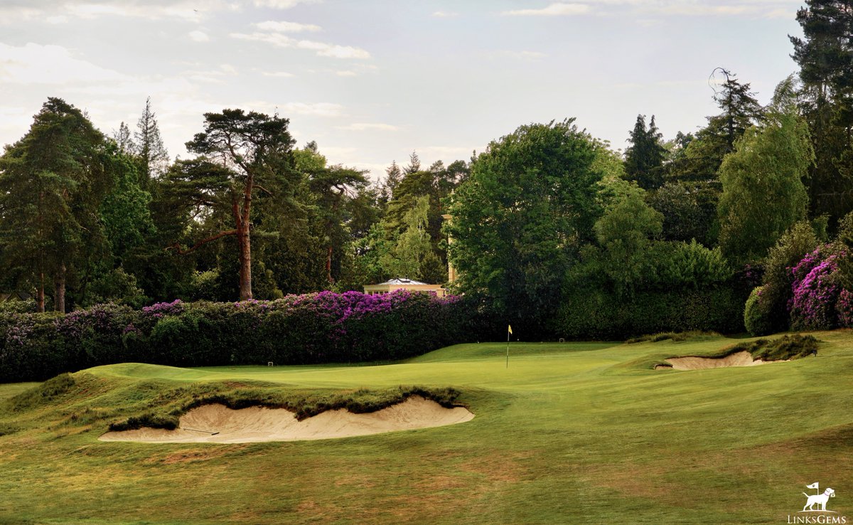 LinksGems tweet media