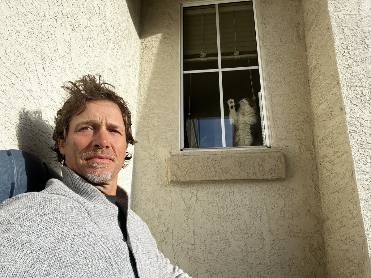 toddswonkka's tweet image. That moment when you realize your cat is plotting its escape plan 😂 #LetMeOut #CatLife #PetHumor #EscapeArtist #CatAndOwner #FunnyPets #SunshineSelfie