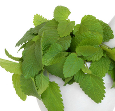 Discover a skin-calming facial mask recipe using fresh mint and lemon balm. Improve the health of your skin and prevent acne naturally. pioneerthinking.com/pt-herbalfacial #facial #herbal #beauty