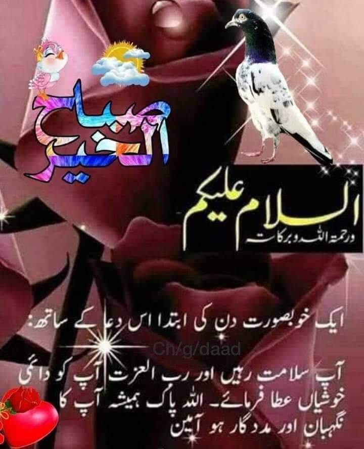 🌹🌴 اسلام علیکم 🌴🌹
🌿 ورحمتہ اللّٰہ وبرکاتہ  🌿
💜 صلی اللّٰہ علیہ وآلہ واصحابہ وبارک وسلم 💜🥀💮❤️🍀🌼