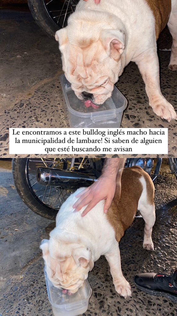 Manuela Rodriguez 💚 tweet media