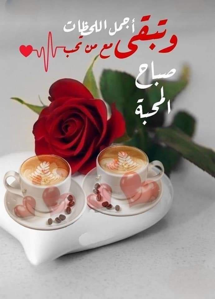 @khalidali5262 @N22_A3 @__hms0 @_0M01_ @kahlid6575 @JanRozn @kwtr1723849 @elhelladj @Eimirahahleh @MM_S1_ @Manasataliraq33 @55tt2c @alqfyly80234 @lion3657_ @qmr_raq @NSA559 #صباح_الخير_والسعادة استاذ #خالد #قروبات_البابلي_للاضافات #دعم_المشهدانية