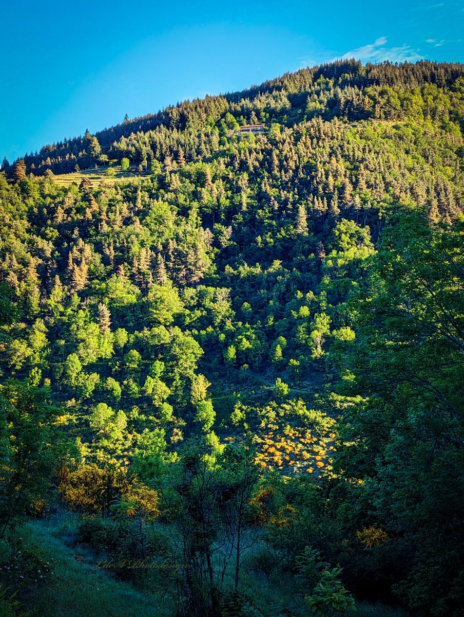 Nouveau jour, nouvelle lumière, nouvel espoir... (Haute-Ardèche 7h36) #LandscapePhotography #ThePhotoHour #StormHour #NaturePhotography @keeper_of_books #Trees #MagnifiqueFrance