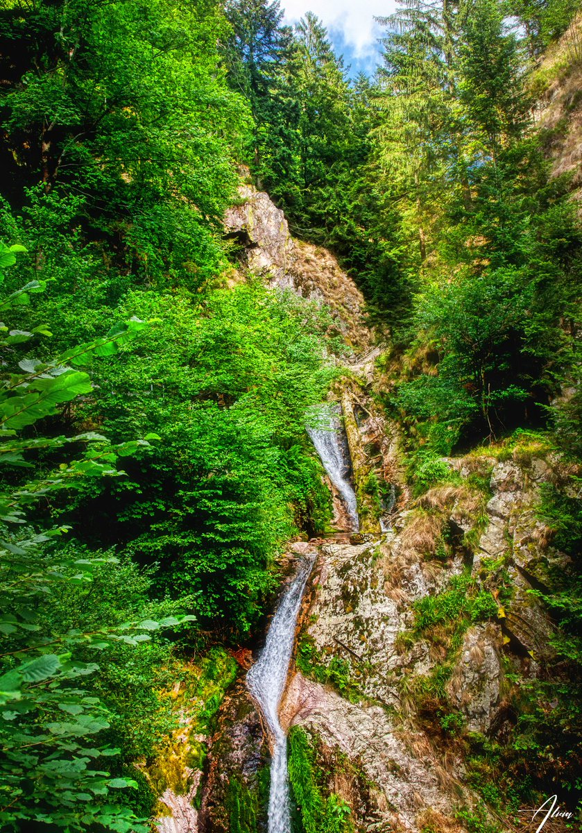 Schwarzwald. Deutschland 
#deutschland #forest #naturelove #NatureBeautiful #travelphotography #travel #traveltips #germany