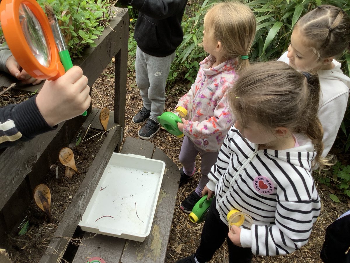 WoodfieldYr's tweet photo. Reception enjoyed their first outdoor learning session, searching for and classifying minibeasts. #woodfieldscience https://t.co/dvp2lurewZ