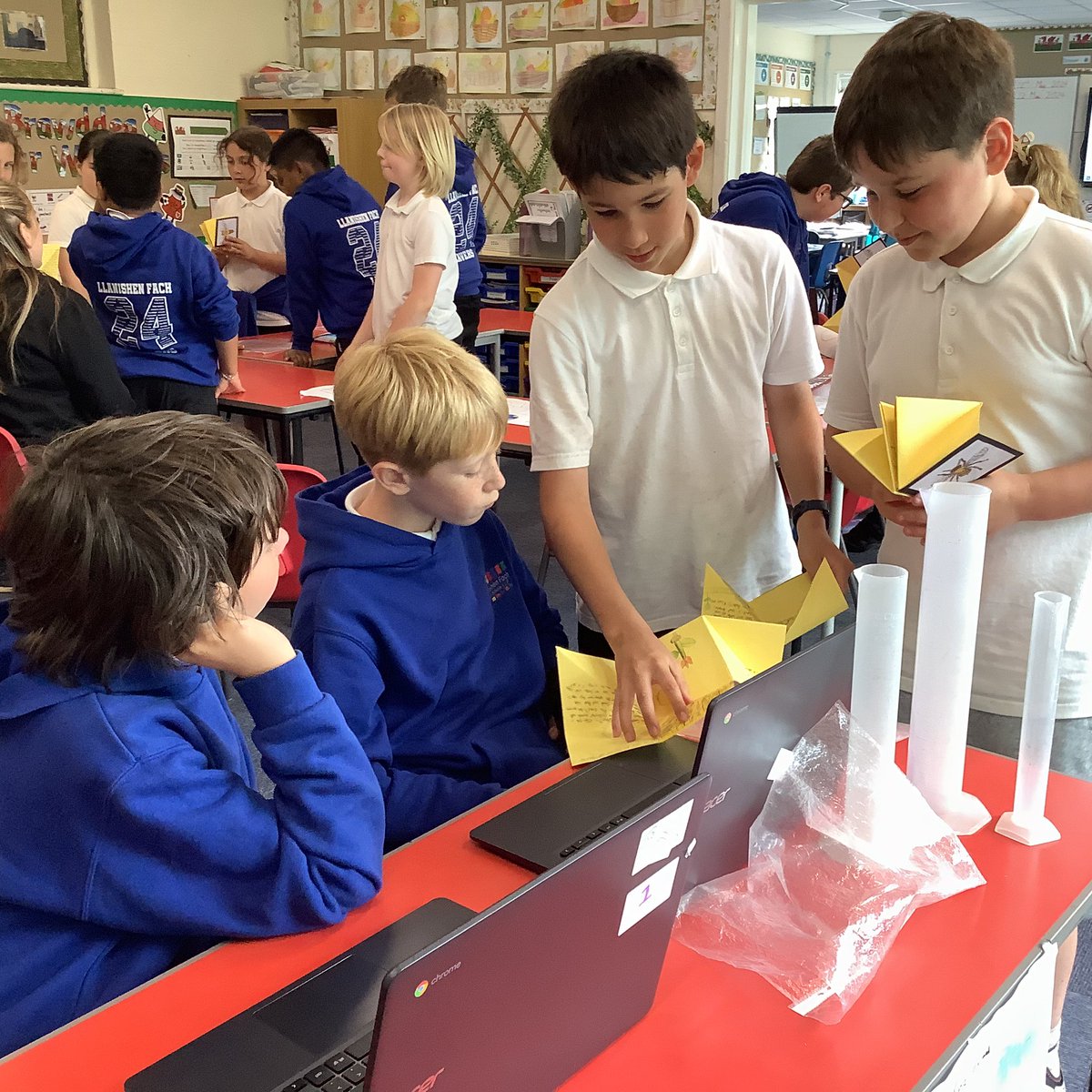 LlanFach2025's tweet photo. https://t.co/dZ3r4qlXTl