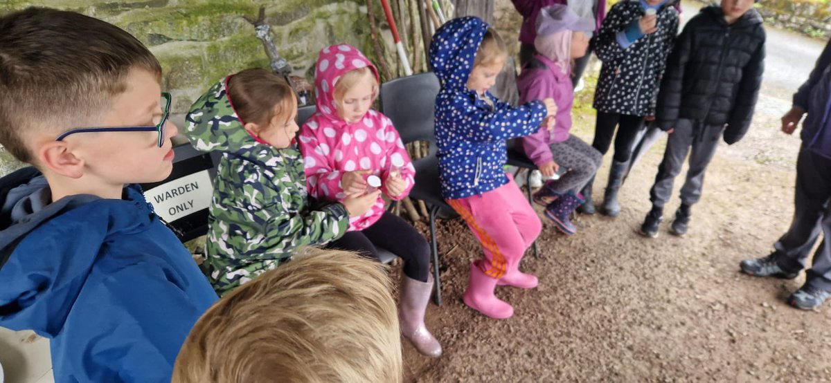 southwalneyinf's tweet photo. The rain didn’t stop the outdoor adventures of Yr 2. swallows class may have been a little damp but their spirits and smiles weren’t as they came back and shared stories of their learning adventure 💙💛 #SWINS https://t.co/XkSZBqutcB