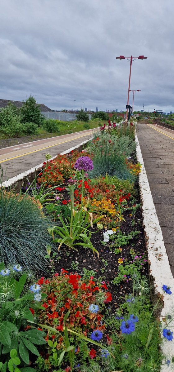 Loving the flower beds <a href="/WestMidRailway/">West Midlands Railway</a> can anyone guess the station?