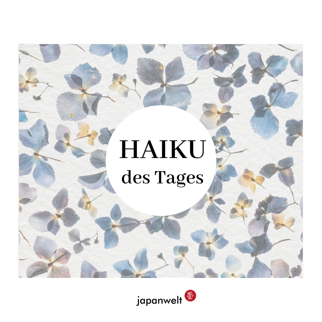 japanwelt's tweet photo. Es ist Haiku Donnerstag!
Thema diesmal: Sommergewitter und warme Regenschauer 🥰🌧️☀️⛩️☔
#haiku #japan #japanisch #japanese #poetry #love #writing #tylerknott #poetrycommunity #anime #fashion #tokyo #instagood #日本 #otaku #manga #kawaii #japanwelt https://t.co/PMRg4nMmYe