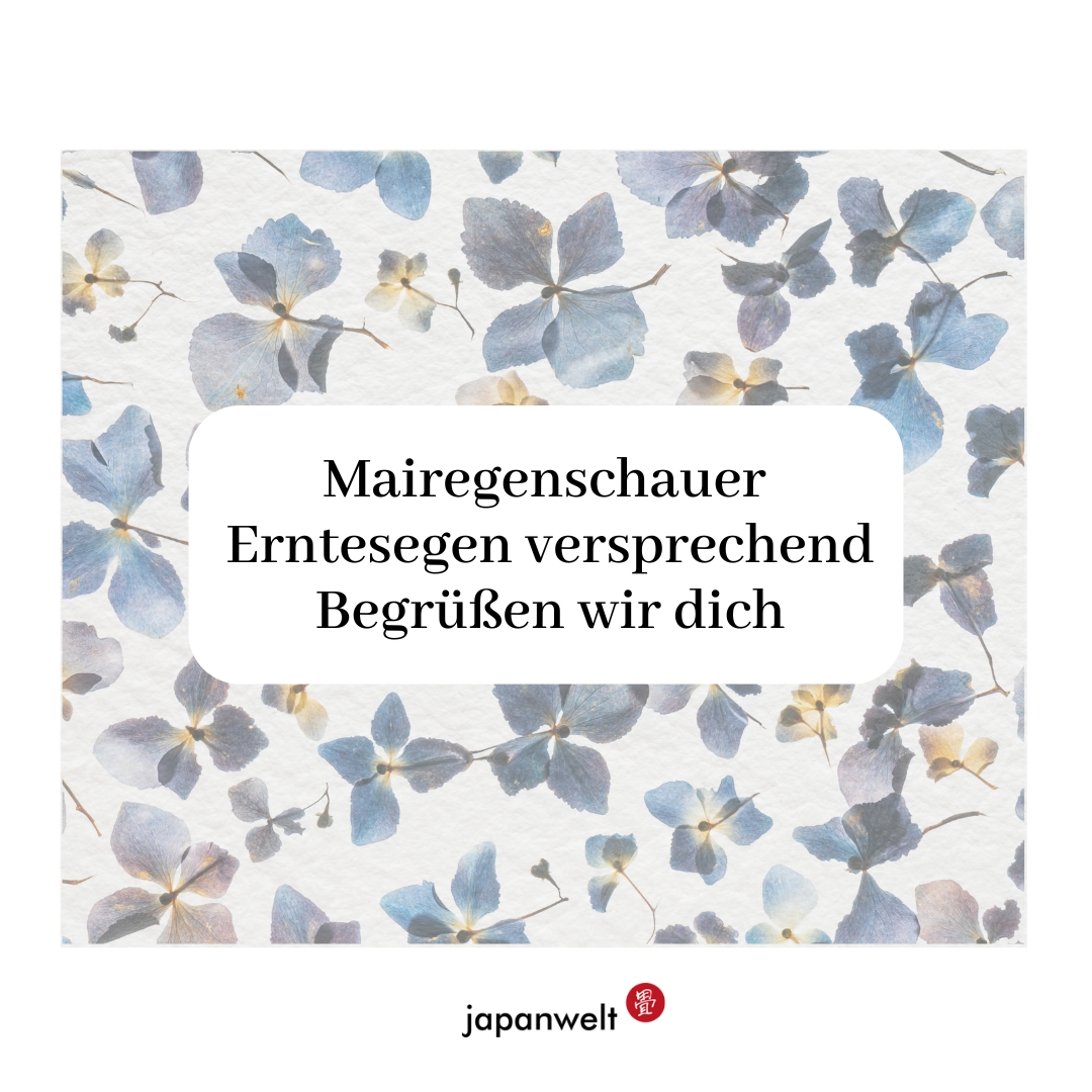 japanwelt's tweet photo. Es ist Haiku Donnerstag!
Thema diesmal: Sommergewitter und warme Regenschauer 🥰🌧️☀️⛩️☔
#haiku #japan #japanisch #japanese #poetry #love #writing #tylerknott #poetrycommunity #anime #fashion #tokyo #instagood #日本 #otaku #manga #kawaii #japanwelt https://t.co/PMRg4nMmYe