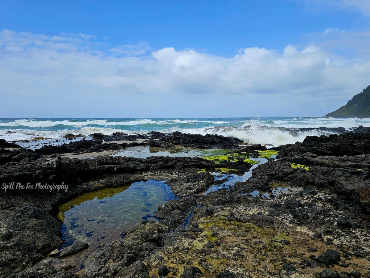 Thors Well, OR 
#Oregon #Oregoncoast #coastline #beautiful #beach #beachcomber #beautifuldestinations #spilltheteaphotography 
#wanderlust #blessed