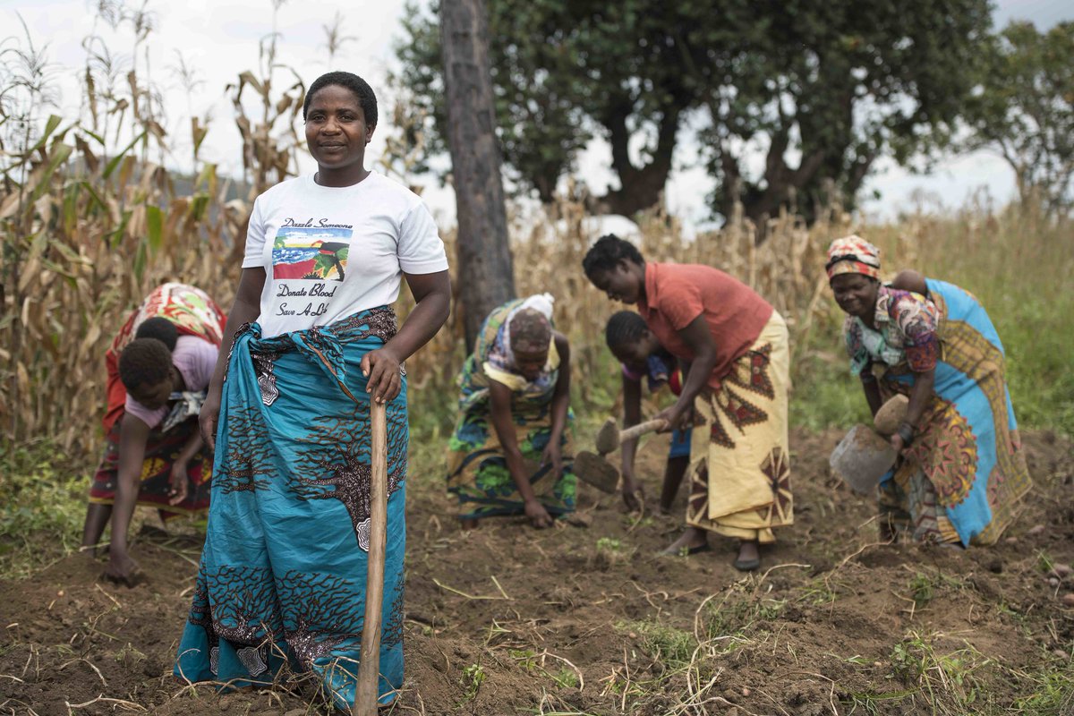 Evidence shows that increasing women’s control over agricultural management decisions can enhance soil quality and increase land productivity. But how can we address the gender inequalities in soil and plant nutrient management? Read more: on.cgiar.org/3JWWMd2 #GenderinAg