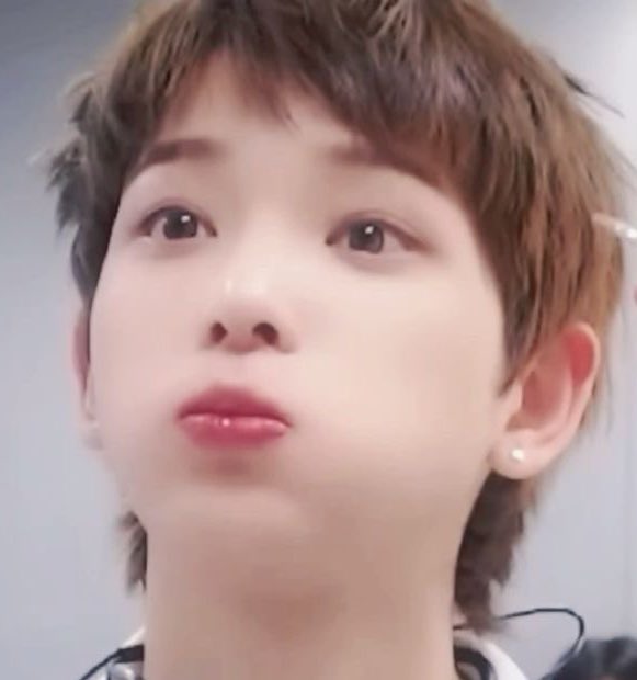 ztrepzils's tweet photo. 하루아미울때올리는사진 https://t.co/6XUXeg4buT