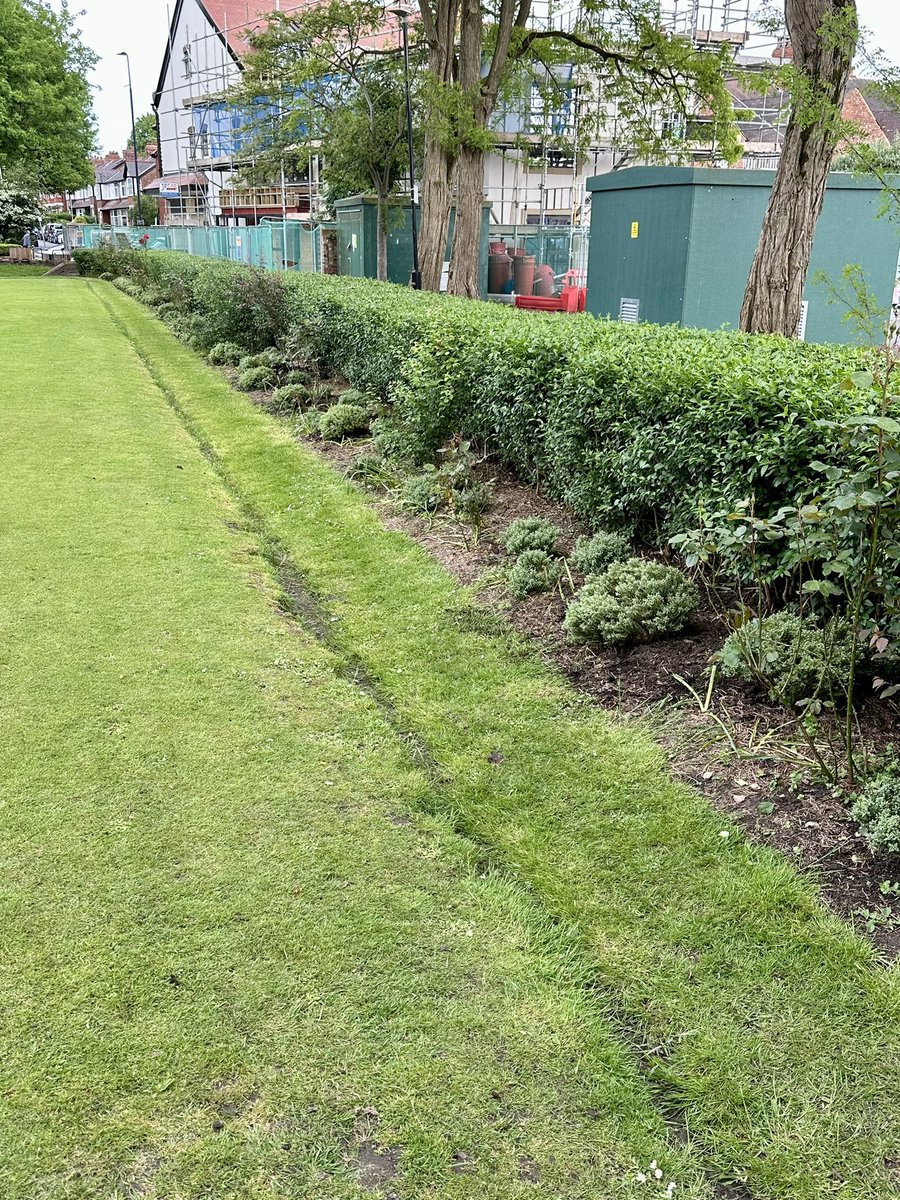 All of the plants removed from the Hale village planters on Saturday have been transplanted to areas around the Bowling Green. The new volunteer group from Hale U3A will be planting up in the next few weeks once compost has been refreshed.