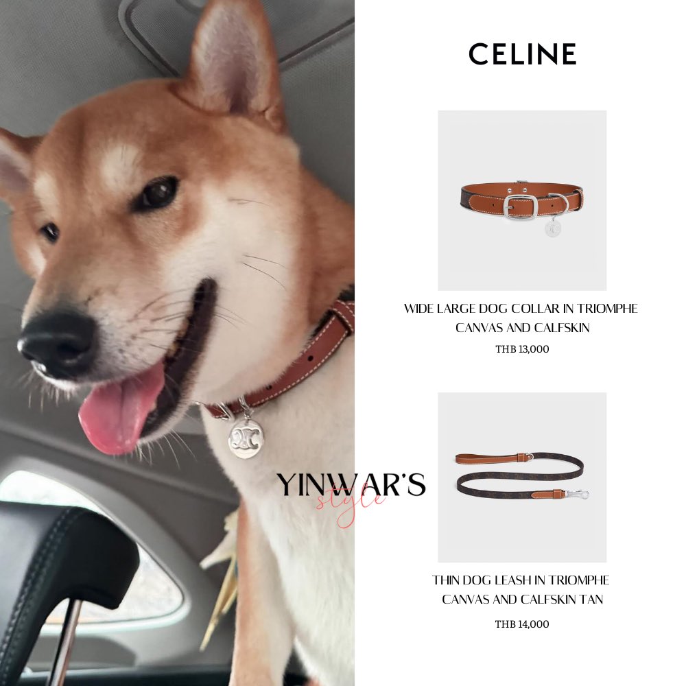 #zuluwear

[240523] #ZuluEcho5 with #celine

#yinwarstyle #yinwar #yinyin_anw #warwanarat #หยิ่นวอร์