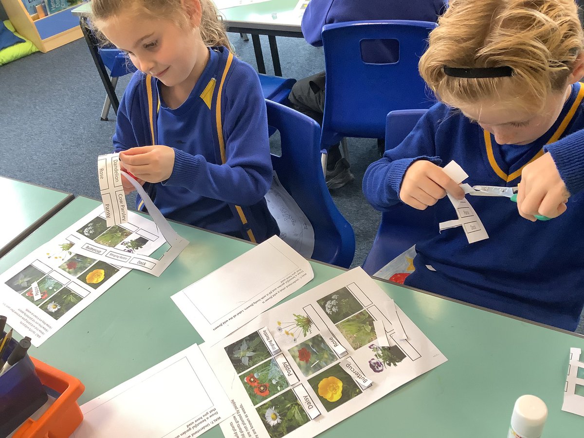In science Year 1 have been learning about wild flowers and exploring how to identify them.