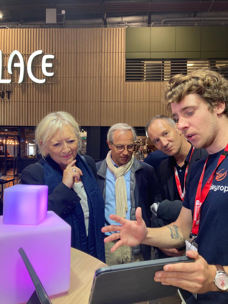 C.Morin-Desailly tweet media