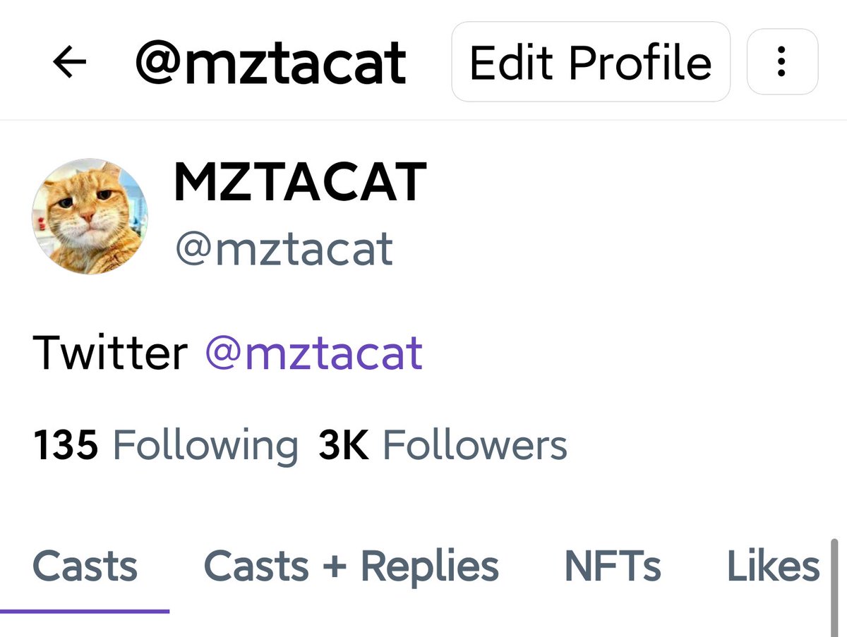〽️ᄃムt 🐾 tweet media