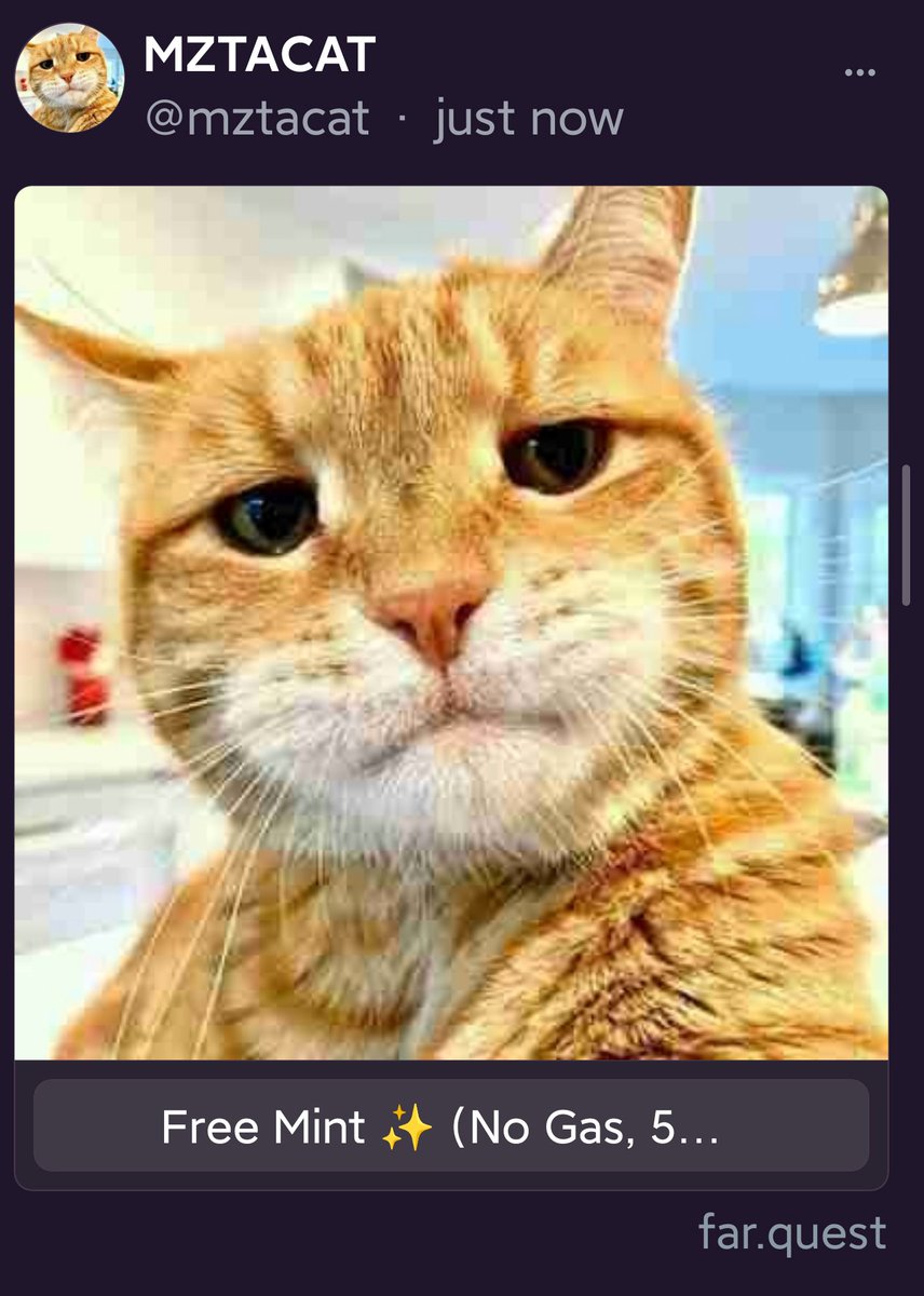 〽️ᄃムt 🐾 tweet media